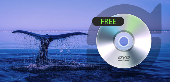 best dvd rip software for mac